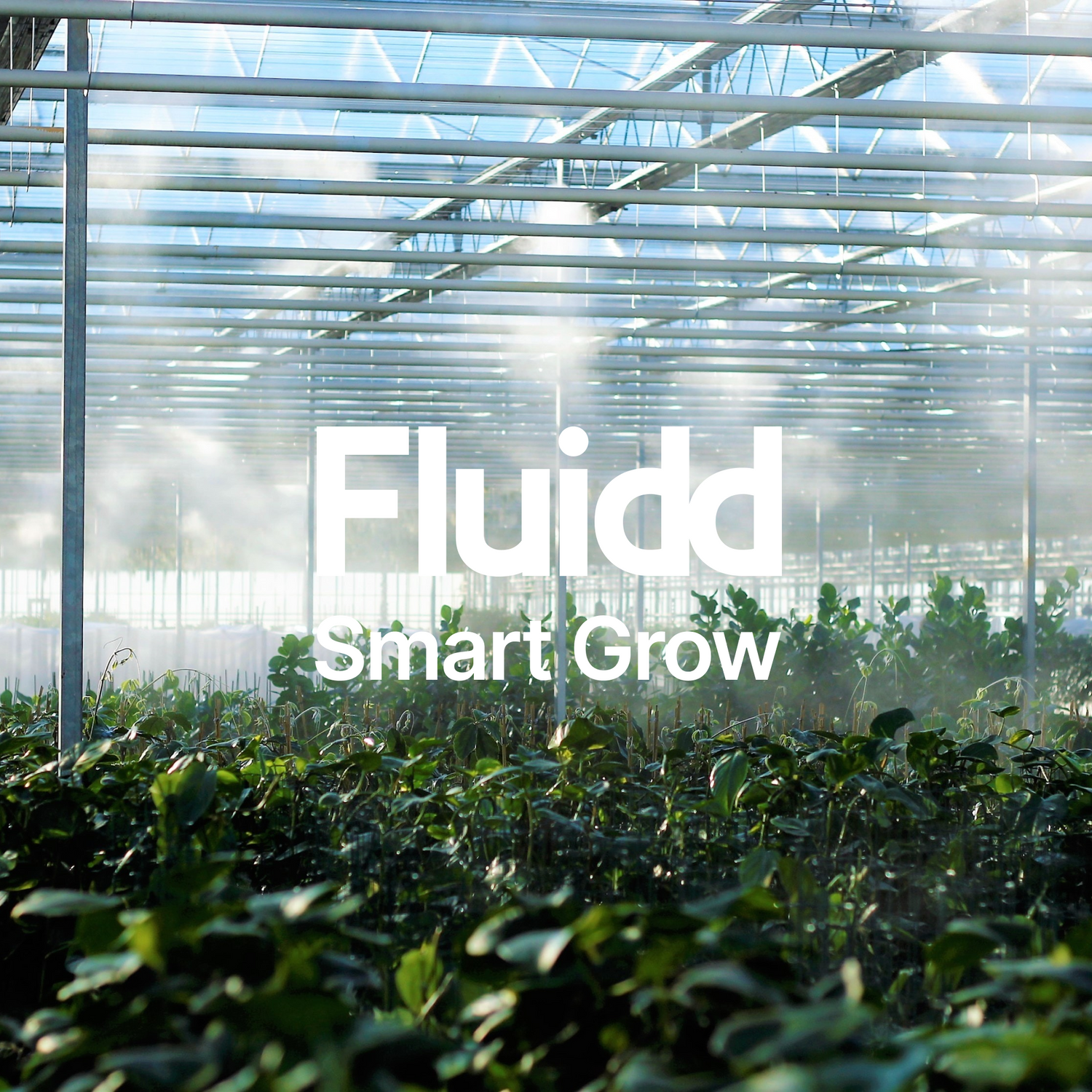 Fluidd Smart Grow: The Future of Indoor Gardening Using Smart Technology and Thread Networking